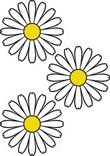 Drei Blumen