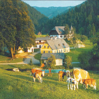 Postkarte